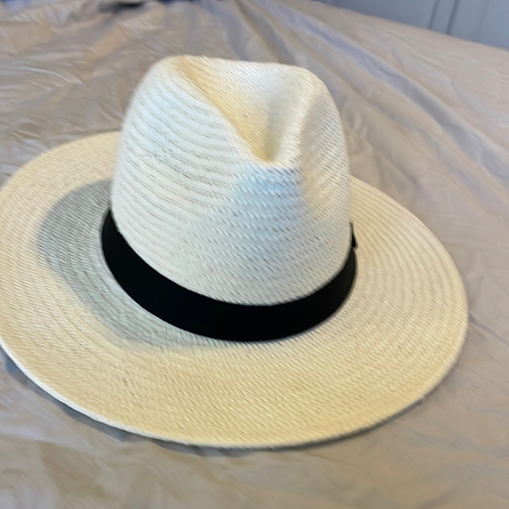 Aritzia alxiliary hat